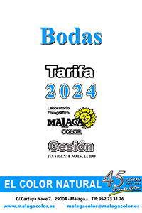 24. Catálogo General 2024 - Bodas.